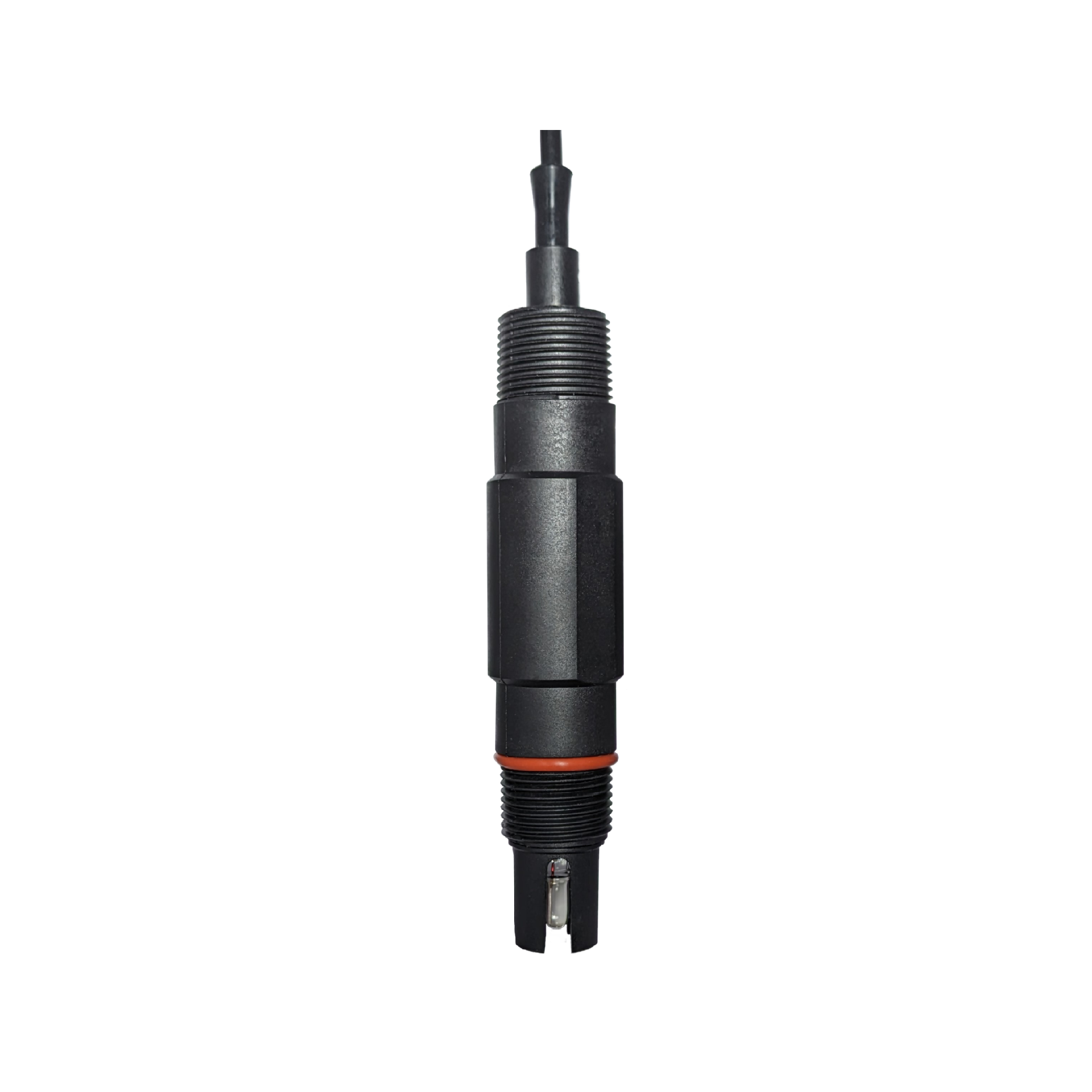 PW-P310-P1-NPT<br>投入式、管路式 pH 電極